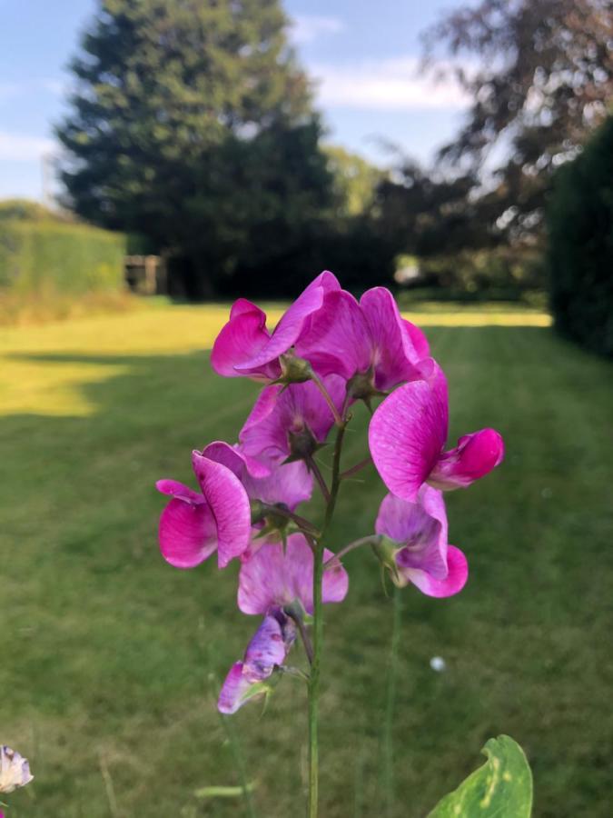 Croxton House B&B Kirmington Esterno foto